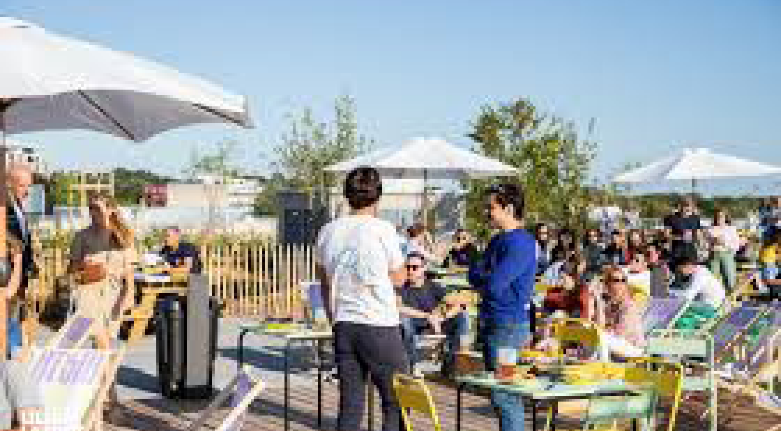 Photo Brique House 4