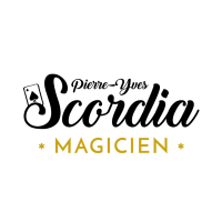 Recadrage logos site web MAGICIEN
